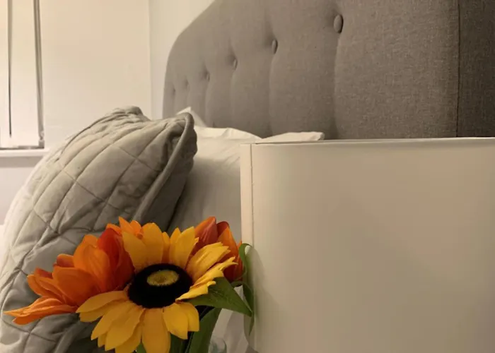 Pallister House * Middlesbrough